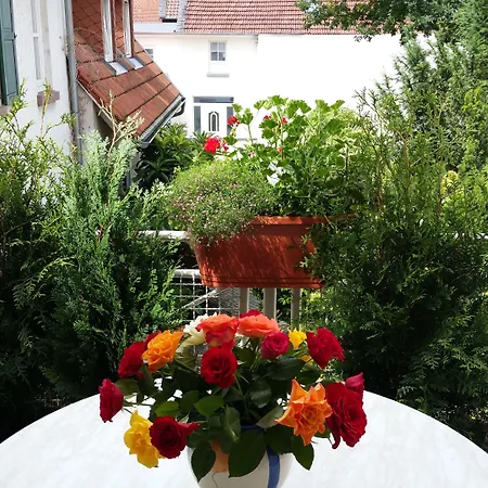 Hotel Rebstock