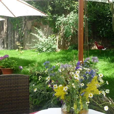 Hotel Rebstock 3*